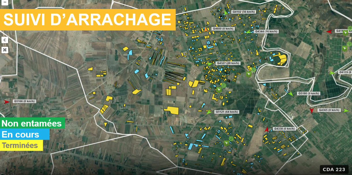 Campagne sucrière 2018-2019 : Les prévisions de Cosumar se confirment 2 capture decran 2019 05 21 a 14 14 33