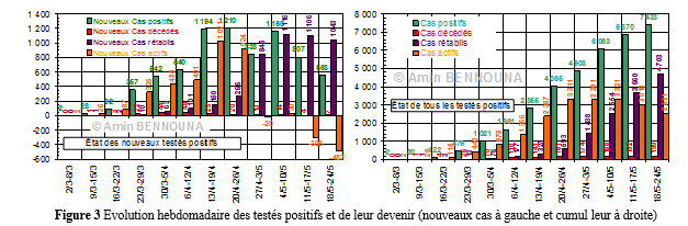 Douze semaines de COVID-19 au Maroc, bonnes nouvelles 4 figure3.