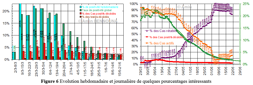 Seize semaines de COVID-19 au Maroc : l'avidité des entrepreneurs de la fraise du Gharb 6 figure6 3