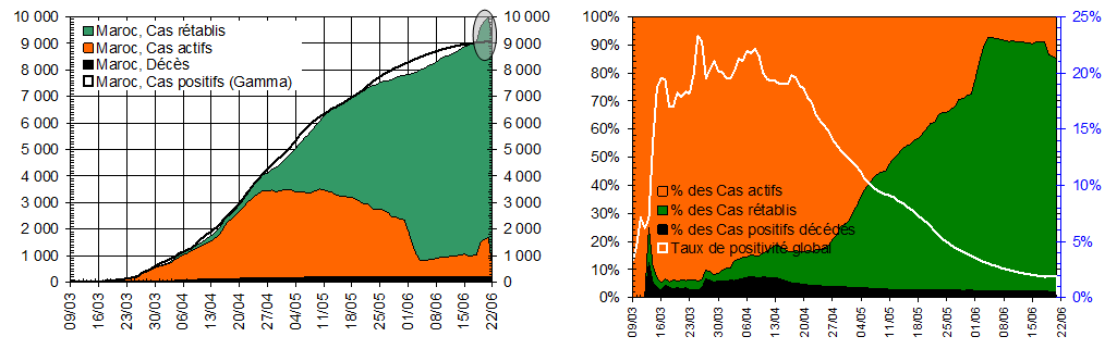 Seize semaines de COVID-19 au Maroc : l'avidité des entrepreneurs de la fraise du Gharb 9 figure7 2
