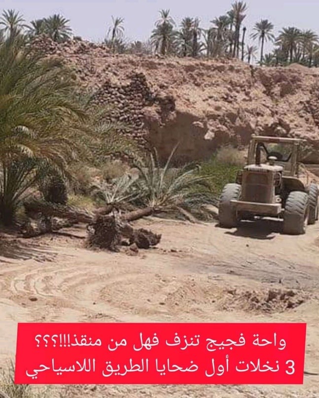 oasis1