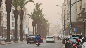 casablanca 