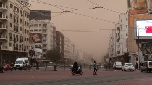 casablanca 