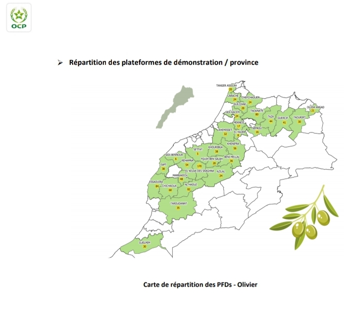Al Moutmir : augmentation du rendement de l'olivier à l’hectare de 34% pour la campagne 2019/2020 3 Al moutmir