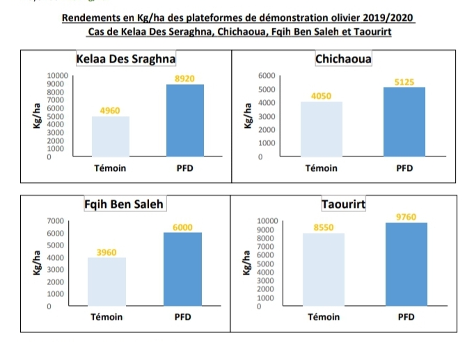 Al Moutmir : augmentation du rendement de l'olivier à l’hectare de 34% pour la campagne 2019/2020 4 Al moutmir