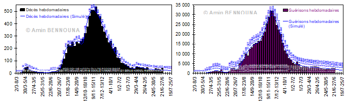 69 semaines de COVID-19 : le taux de progression continue à osciller autour de 110% 4 F3 1
