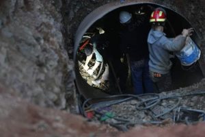 đ„ 2022 : une annĂ©e millĂ©sime ! 3 rayan 2022